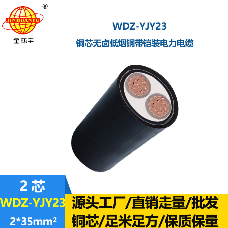 金环宇 2芯电力电缆 低烟无卤铠装电缆WDZ-YJY23-2X35平方