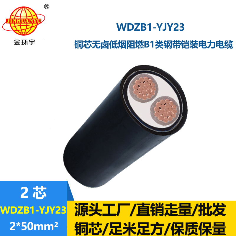 金环宇 WDZB1-YJY23-2X50平方 低烟无卤电缆 阻燃b1类铠装电缆