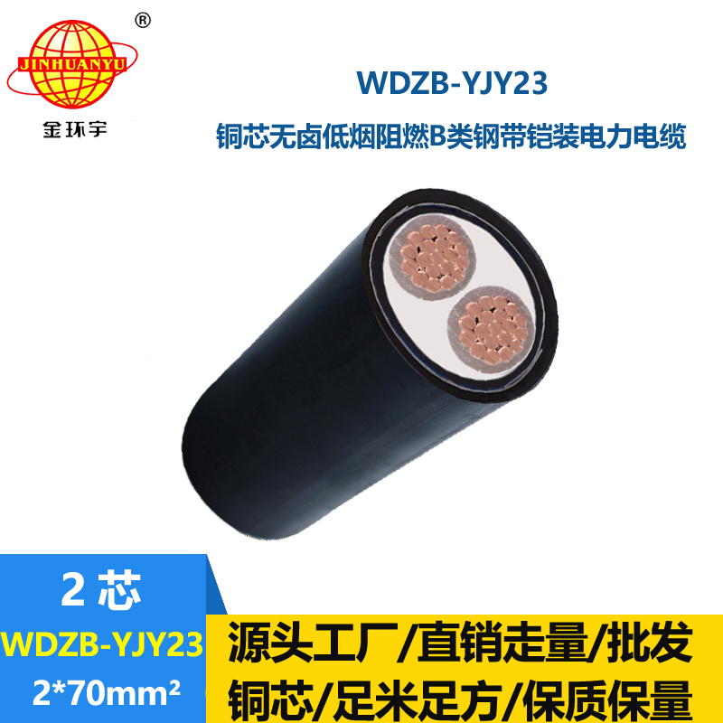 金环宇电缆 低烟无卤铜芯电力电缆WDZB-YJY23-2X70平方 b级阻燃电缆